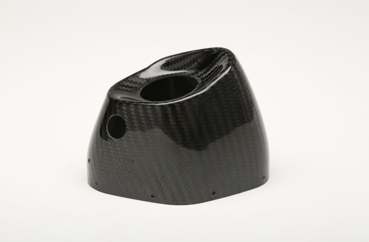 RS9 Carbon Fiber End Cap Cover Left Side